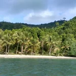 Pantai di Trenggalek yang Cocok untuk Bersantai dan Menikmati Keindahan Alam Laut