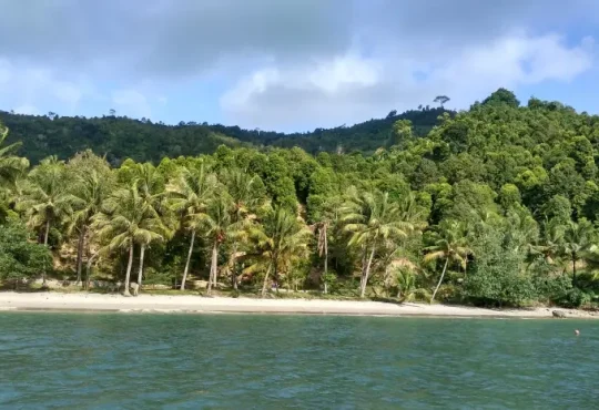 Pantai di Trenggalek yang Cocok untuk Bersantai dan Menikmati Keindahan Alam Laut