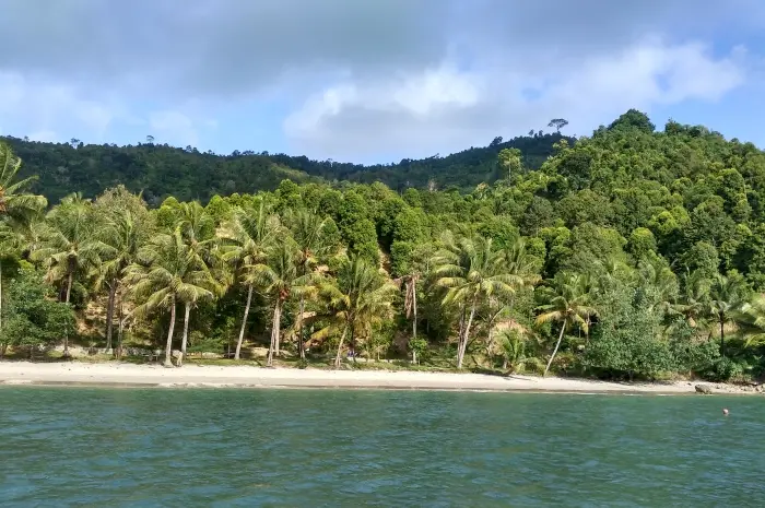 Pantai di Trenggalek yang Cocok untuk Bersantai dan Menikmati Keindahan Alam Laut