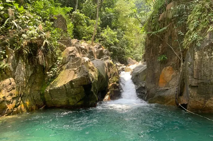 Tempat Wisata Alam di Bogor yang Menyuguhkan Pemandangan Indah dan Suasana Sejuk Alam