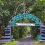 Hutan Angker di Indonesia